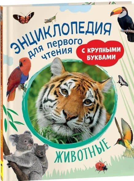 Животные. Энциклопедия для первого чтения с крупными буквами — Светлана Николаевна Гальцева
