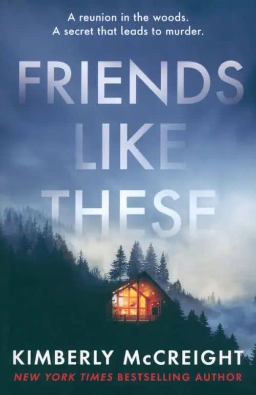 Friends Like These — Kimberly McCreight