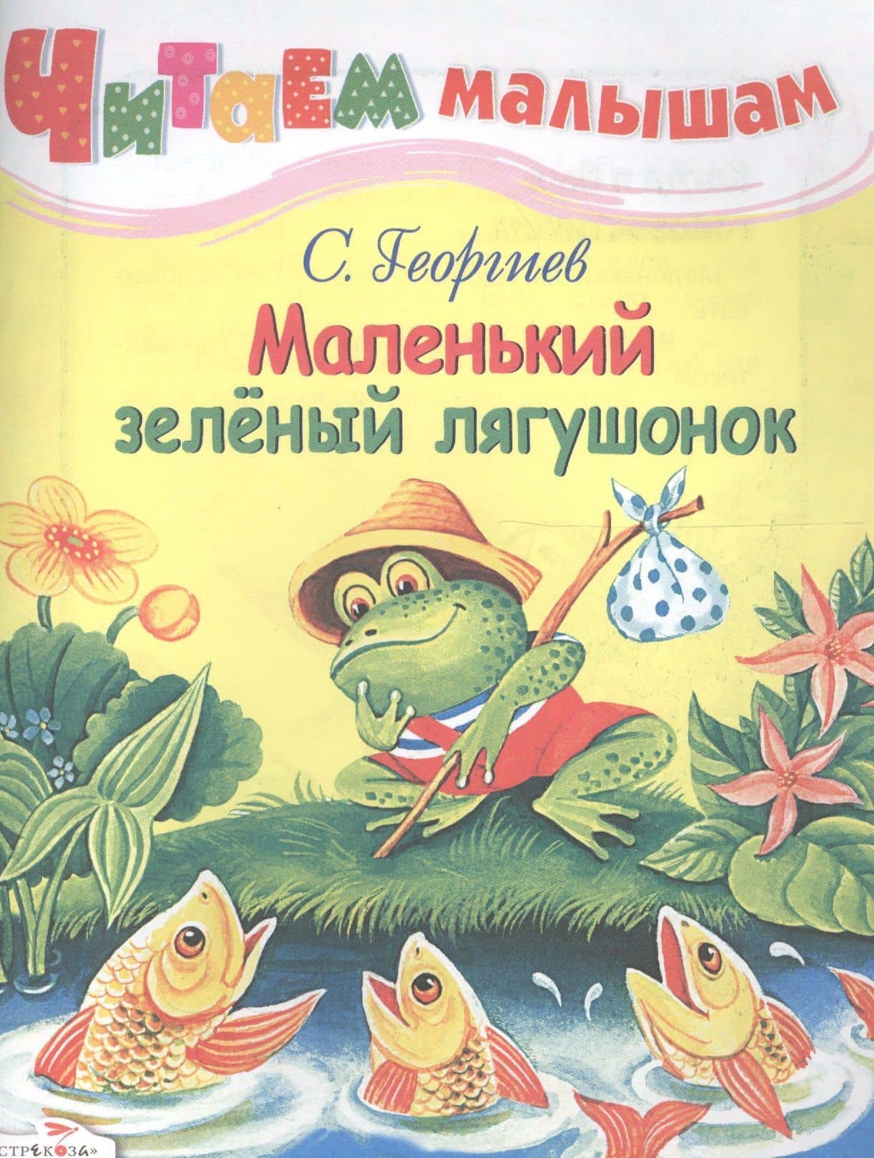 Маленький зеленый лягушонок