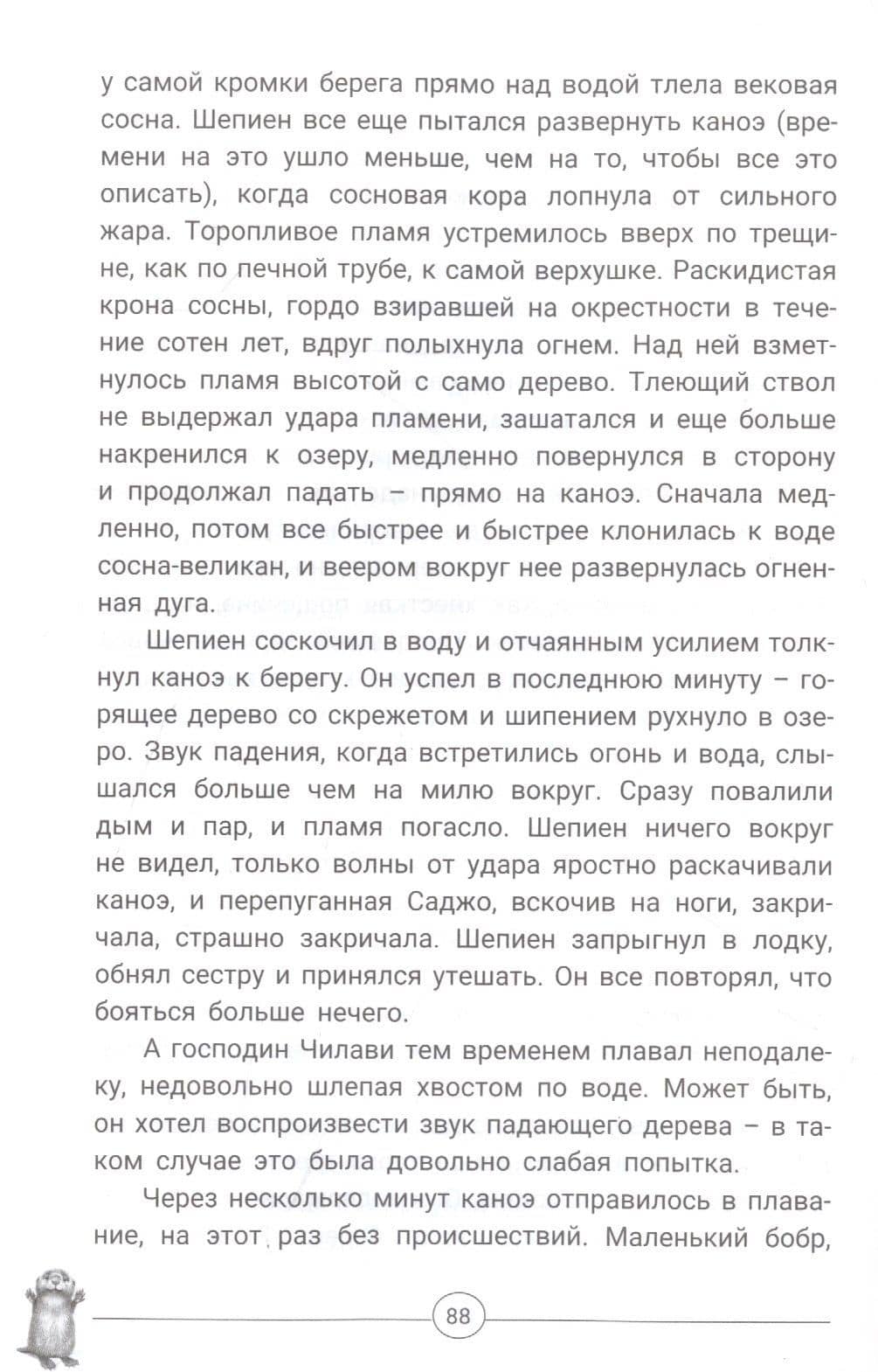 Приключения Саджо и ее бобров — Сова Серая (3)