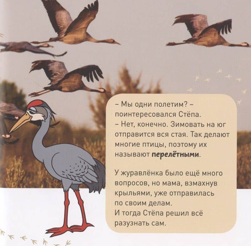 Кто как зимует? — Э. Наставник (3)