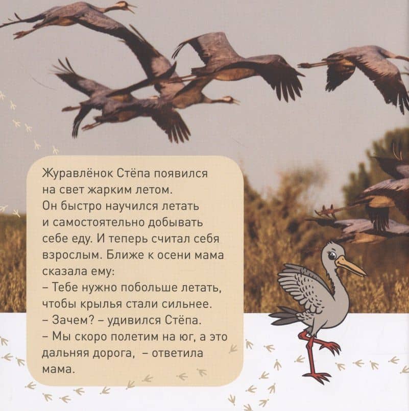 Кто как зимует? — Э. Наставник (2)