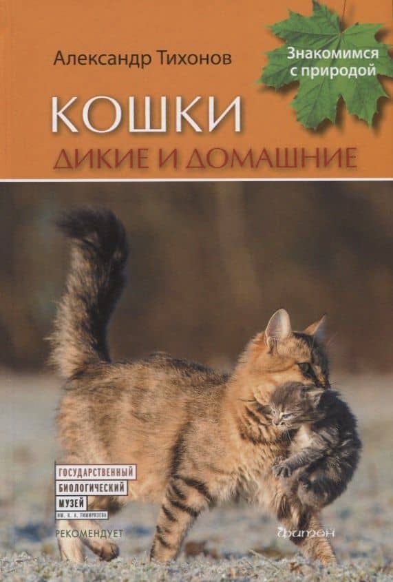 Кошки дикие и домашние — Александр Васильевич Тихонов