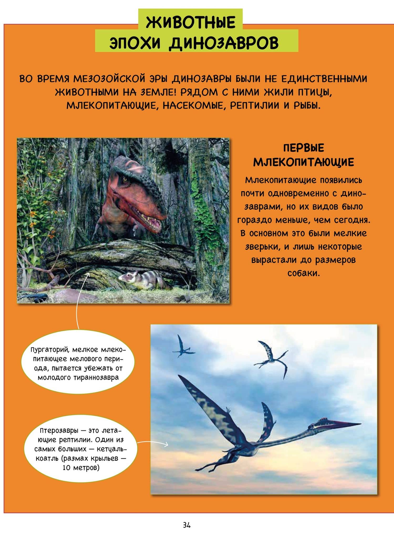 Рапта. Динозавр, который хотел летать (2)
