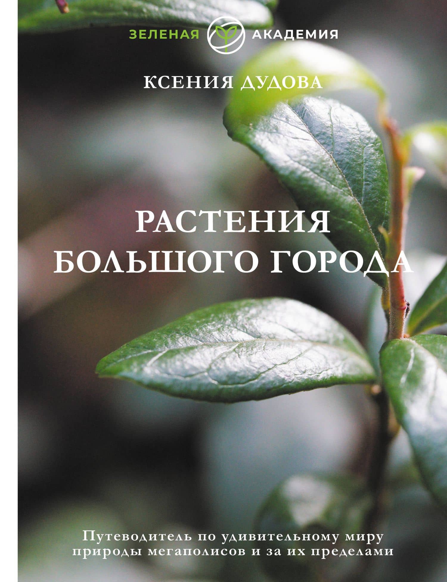 Джунгли большого города. Ботаника для неофитов — Ксения Вячеславовна Дудова