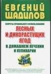 Секреты правильного использования лесных и дикорастущих ягод в домашнем лечении и кулинарии