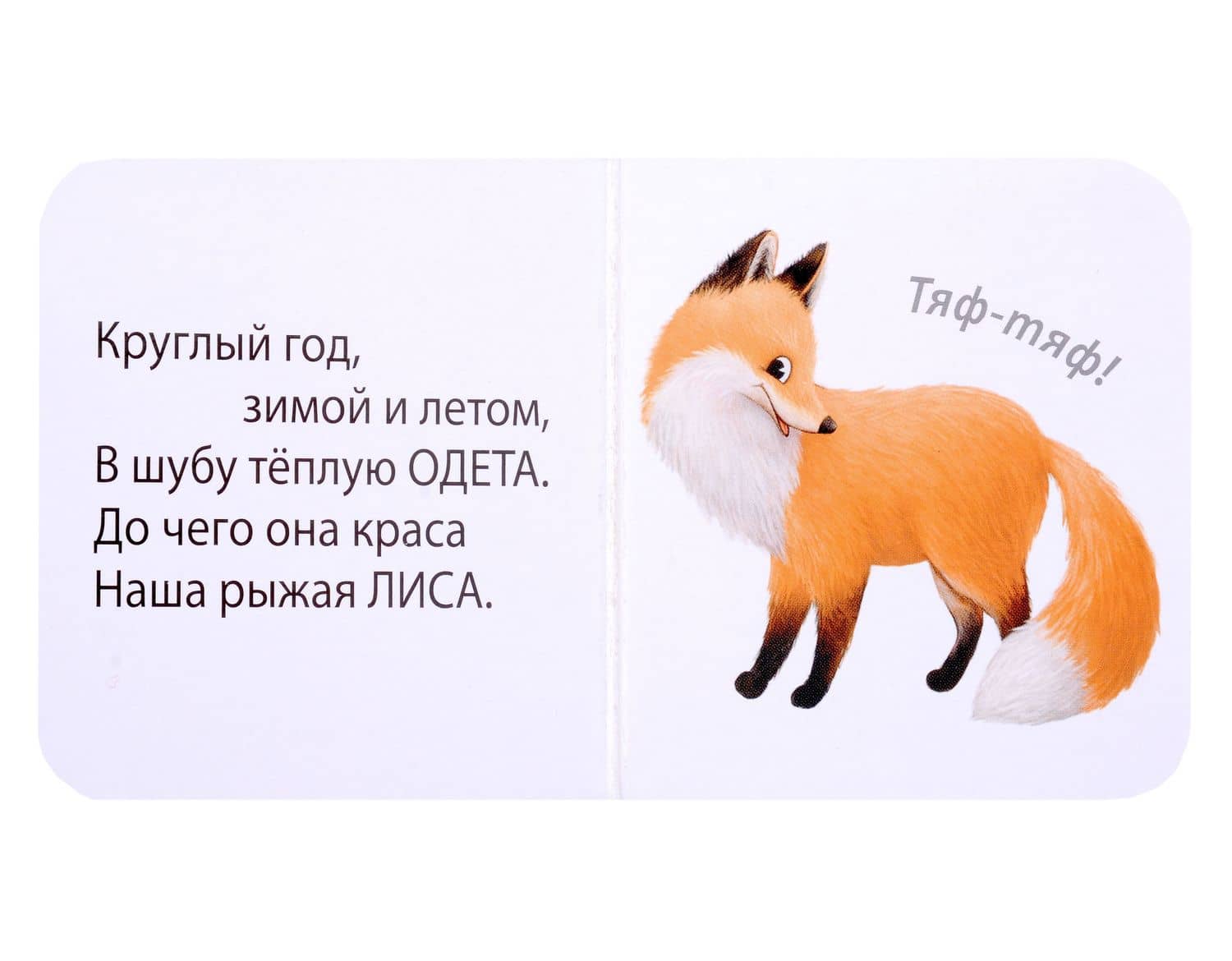 МИМИкнижки. Загадки-рифмы — Евгений Анатольевич Сосновский (3)