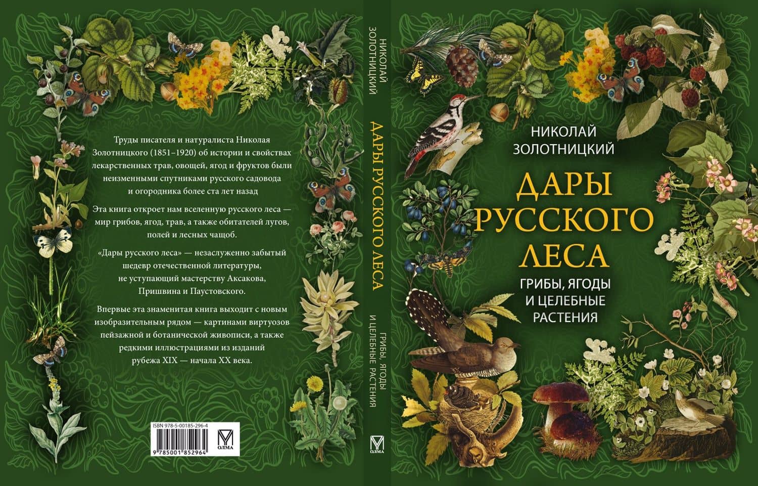Дары русского леса. Грибы, ягоды и целительные растения — Золотницкий Николай Федорович (2)