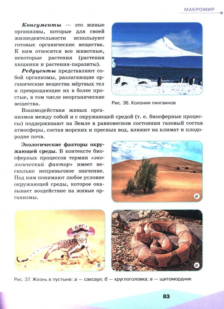 Естественно-научная картина мира. 10-11 классы. Учебное пособие — Олег Сергеевич Габриелян