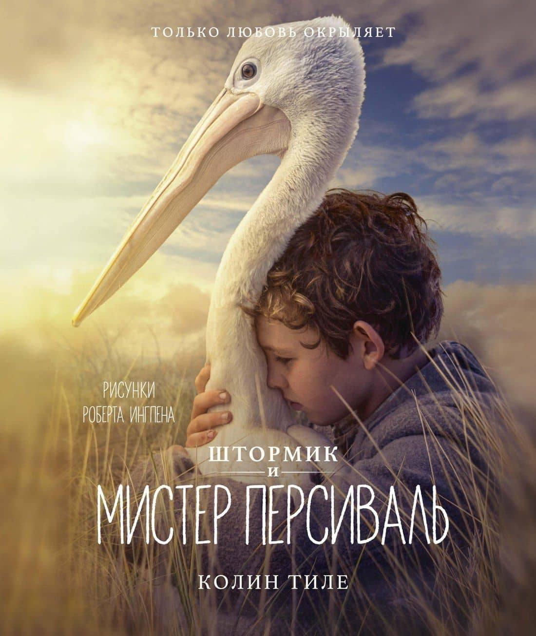Штормик и мистер Персиваль — Колин Тиле
