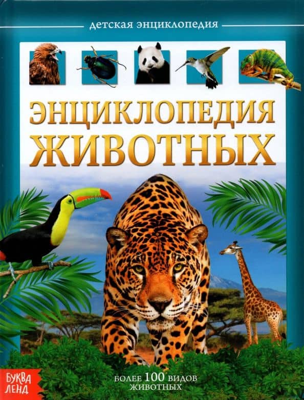 Детская энциклопедия "Животные" — Ю. Соколова