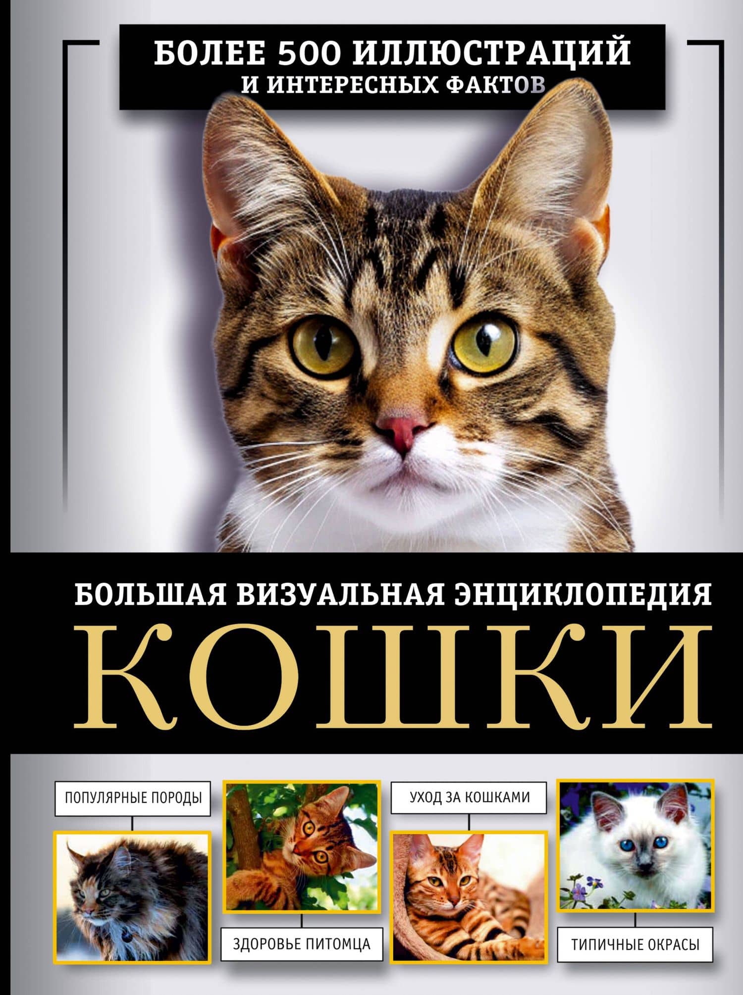 Кошки. Большая визуальная энциклопедия — Анна Артуровна Спектор