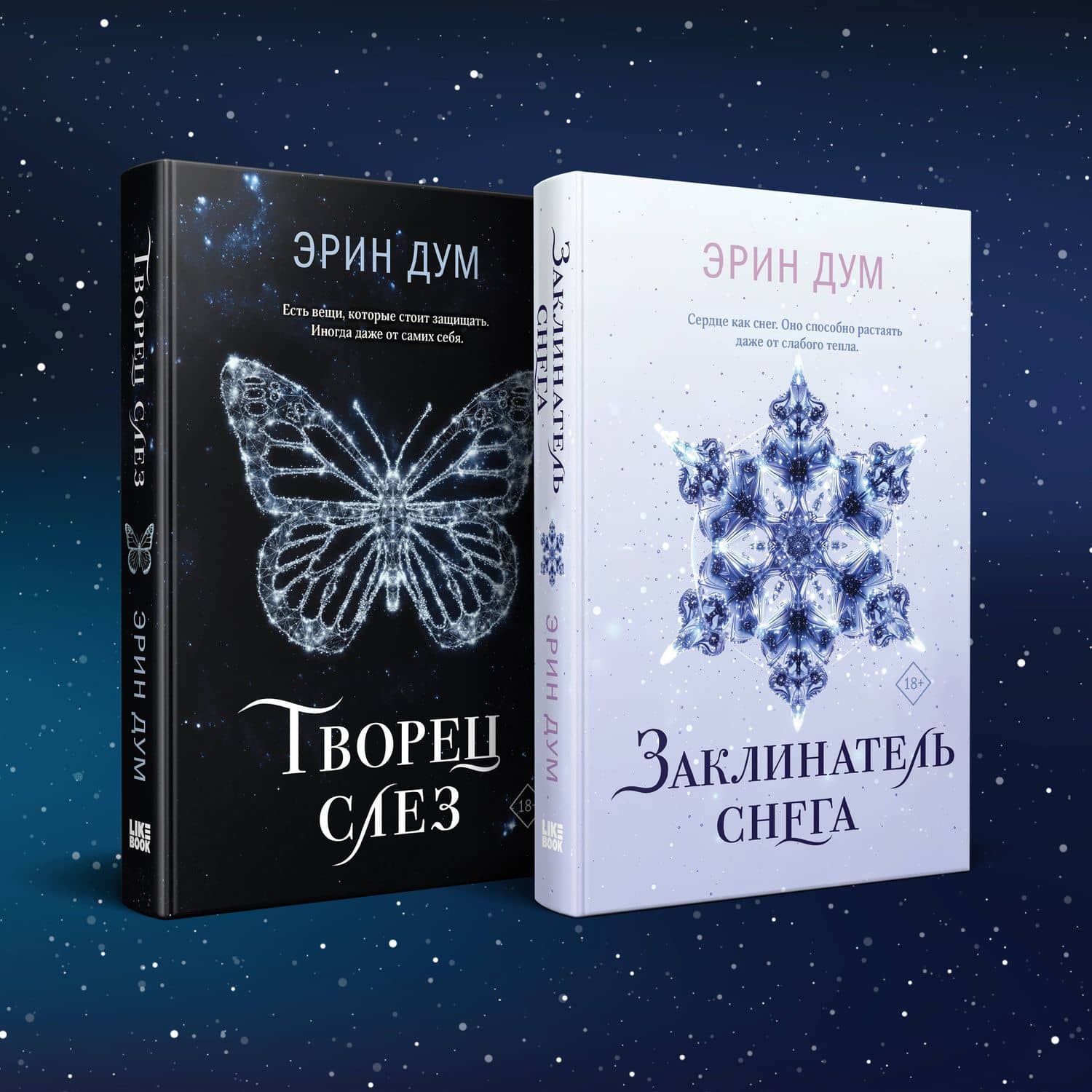 Комплект из 2 книг: Заклинатель снега. Творец слез — Эрин Дум (2)