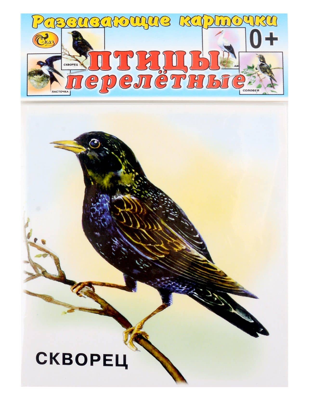 Развивающие карточки Птицы перелетные (0+) (12 карточек)