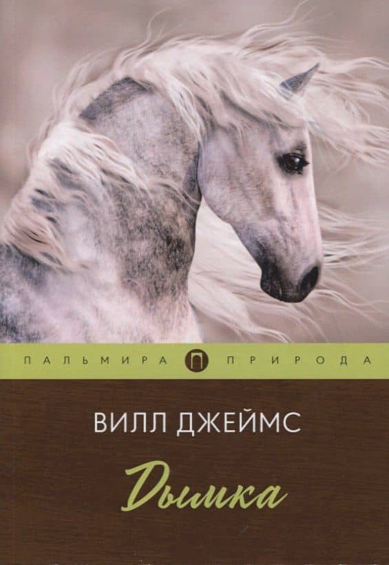 Дымка. Повесть — Джеймс Виль