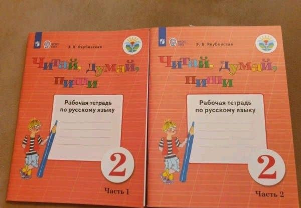 Русский язык. Читай, думай, пиши! 2 класс. Рабочая тетрадь. Адаптированные программы. В 2-х частях — Эвелина Вячеславовна Якубовская (3)