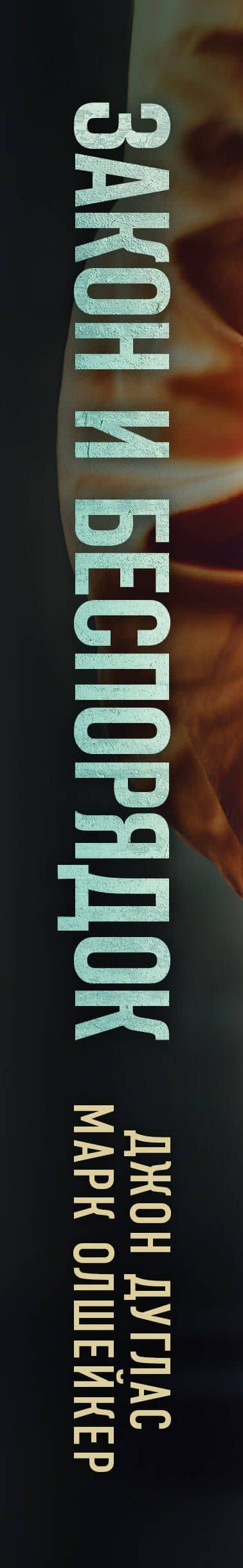 Закон и беспорядок. Легендарный профайлер ФБР об изнанке своей профессии — Джон Дуглас (3)