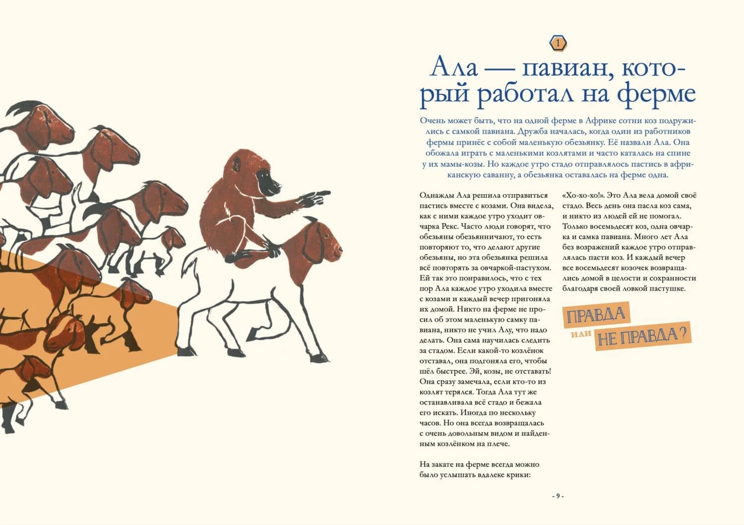 Очень может быть: 20 правдивых (или не очень) историй 2 — Камиль Де Брейне (3)