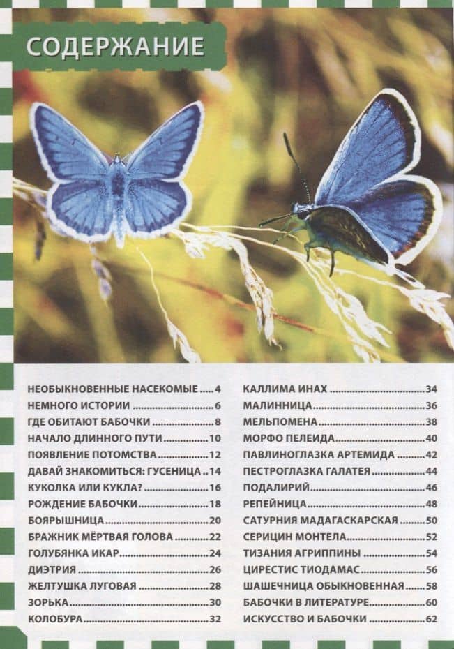 Бабочки. Первая энциклопедия для детей — Юлия Феданова (2)