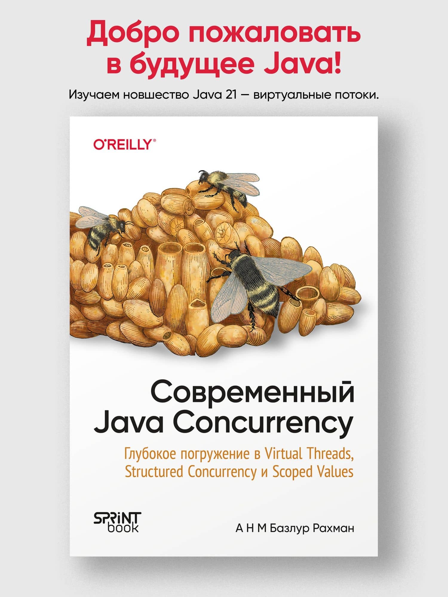Современный Java Concurrency. Глубокое погружение в Virtual Threads, Structured Concurrency и Scoped Values — А Н М Базлур Рахман (2)