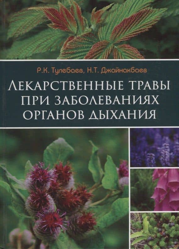 Лекарственные травы при заболеваниях органов дыхания