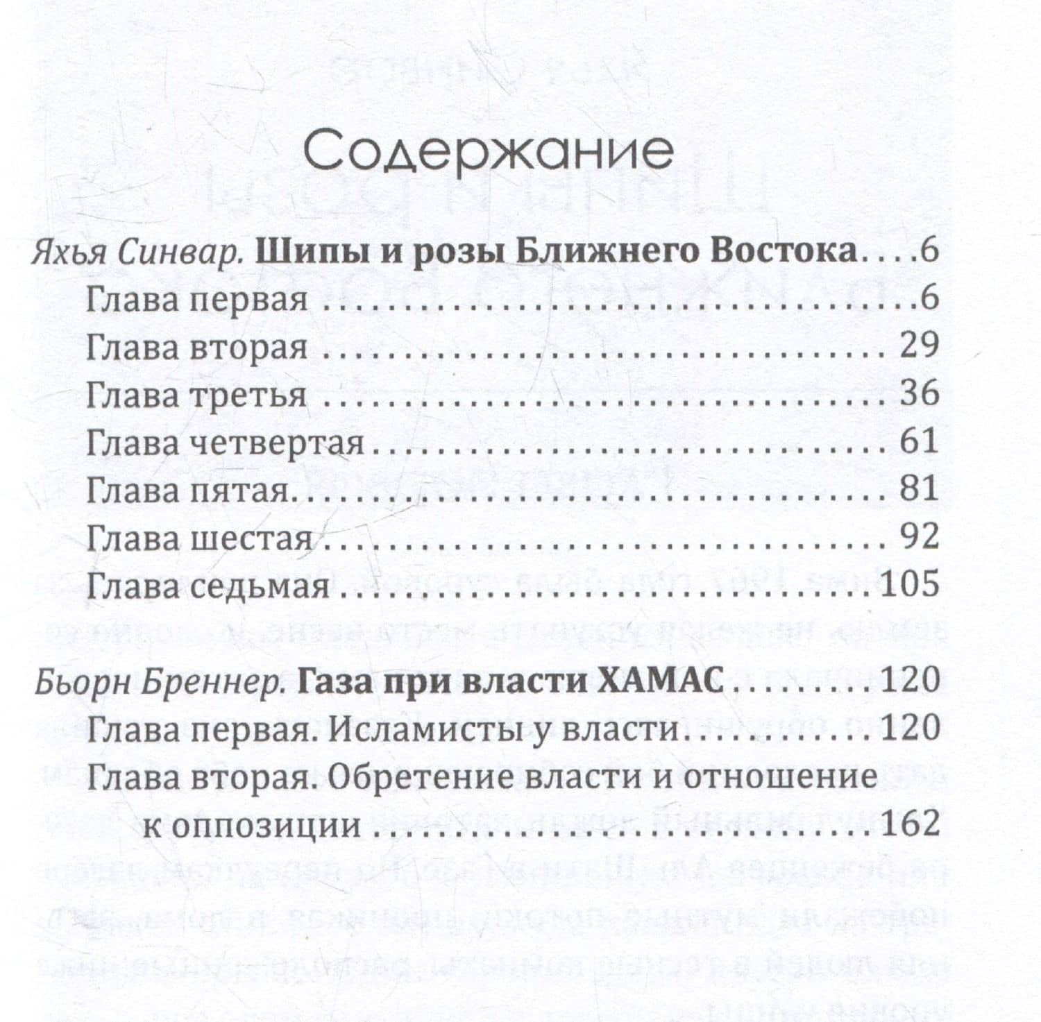 Как победить Израиль. Шипы и розы Ближнего Востока — Яхья Синвар (3)