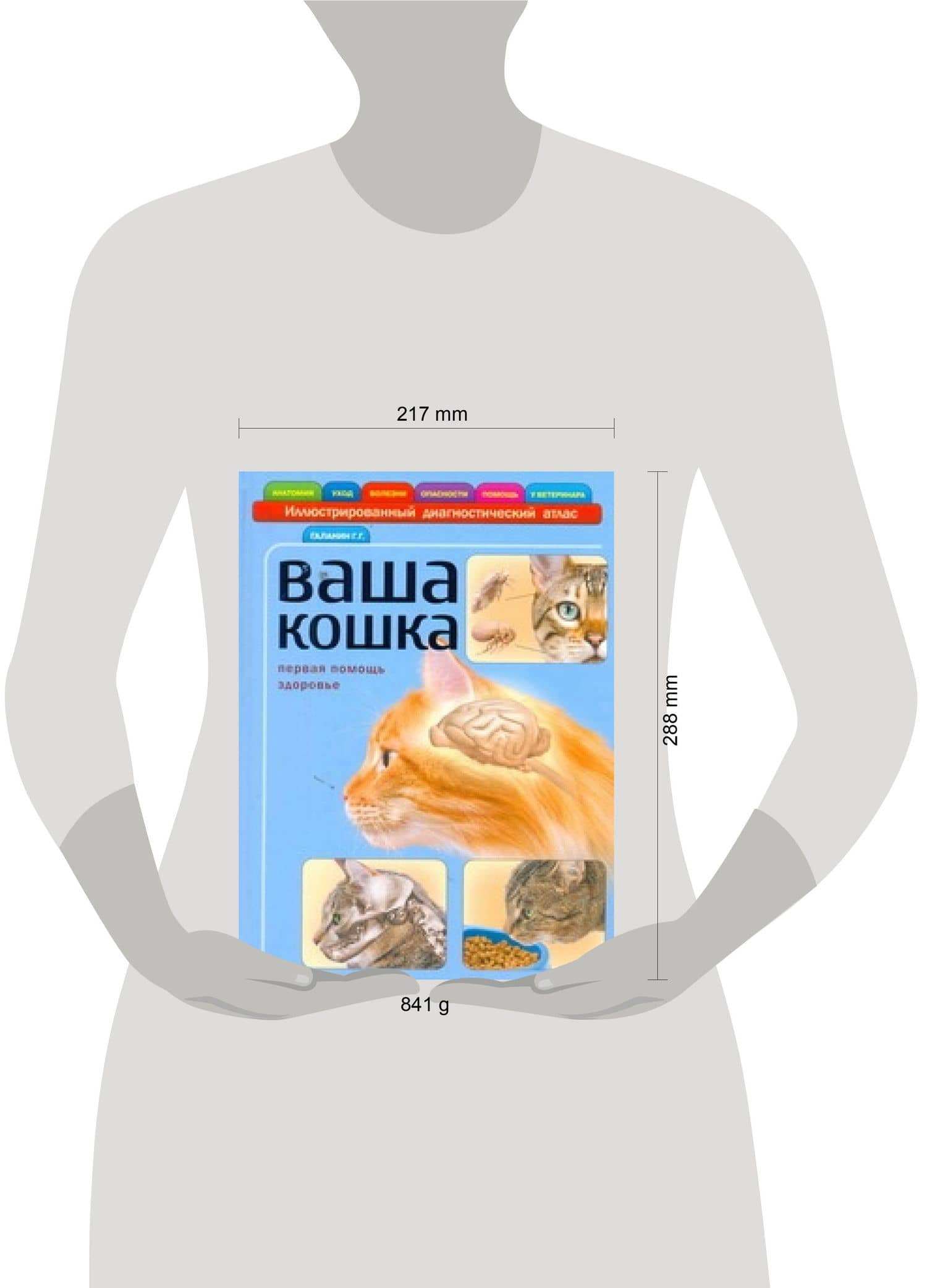 Ваша кошка. Иллюстрированный диагностический атлас. Здоровье, первая помощь — Георгий Георгиевич Галанин (2)