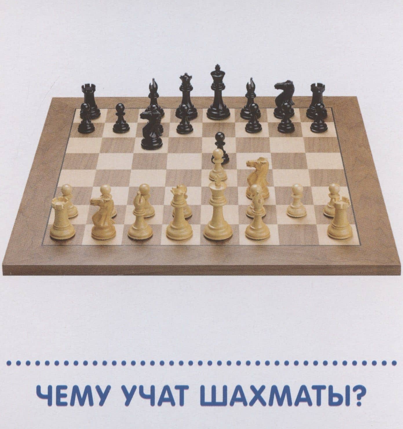 Карточки в лапочке. Шахматы. 33 карточки с заданием на обороте (3)