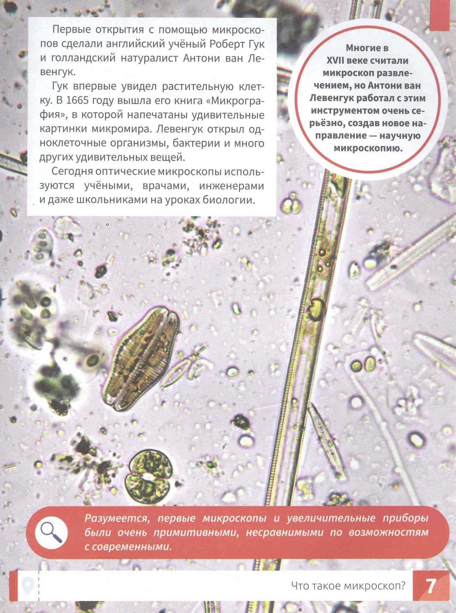 Микромир: наблюдаем в микроскоп: самая умная энциклопедия — Антон Олегович Малютин (3)