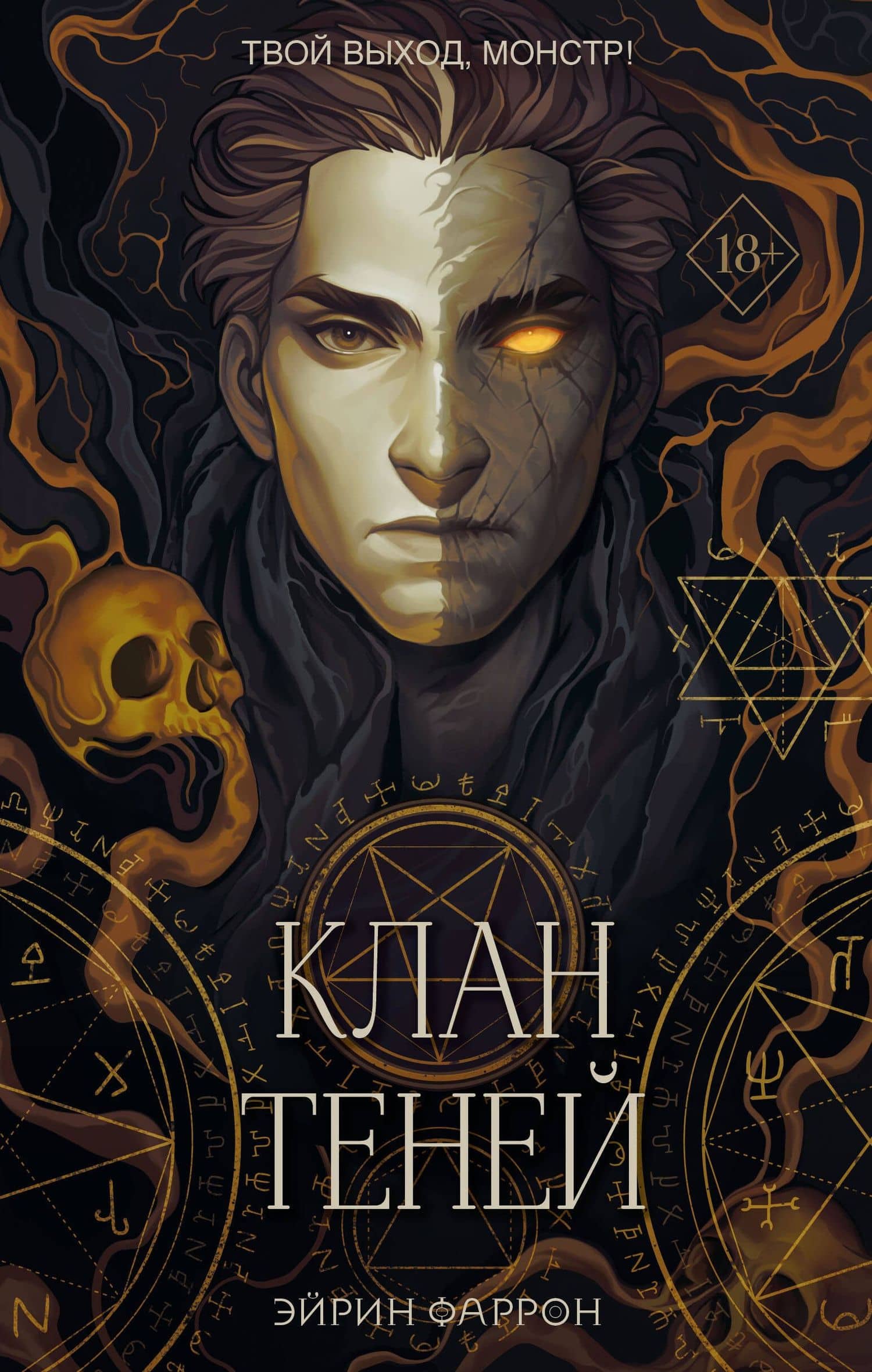 Клан теней (#1) — Эйрин Фаррон