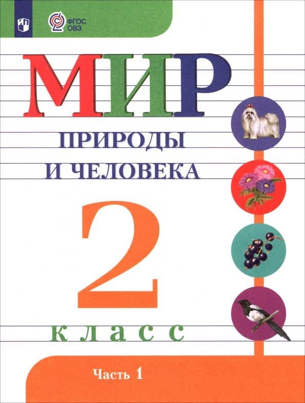 Мир природы и человека. 2 класс. Учебник. Адаптированные программы. В 2-х частях. Часть 1. ФГОС ОВЗ — Татьяна Викторовна Алышева