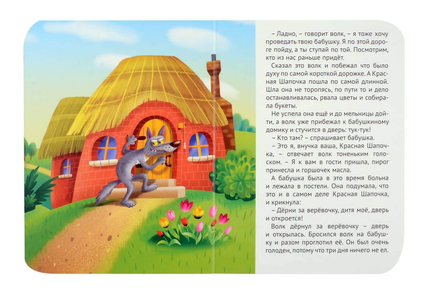 Красная шапочка (3)