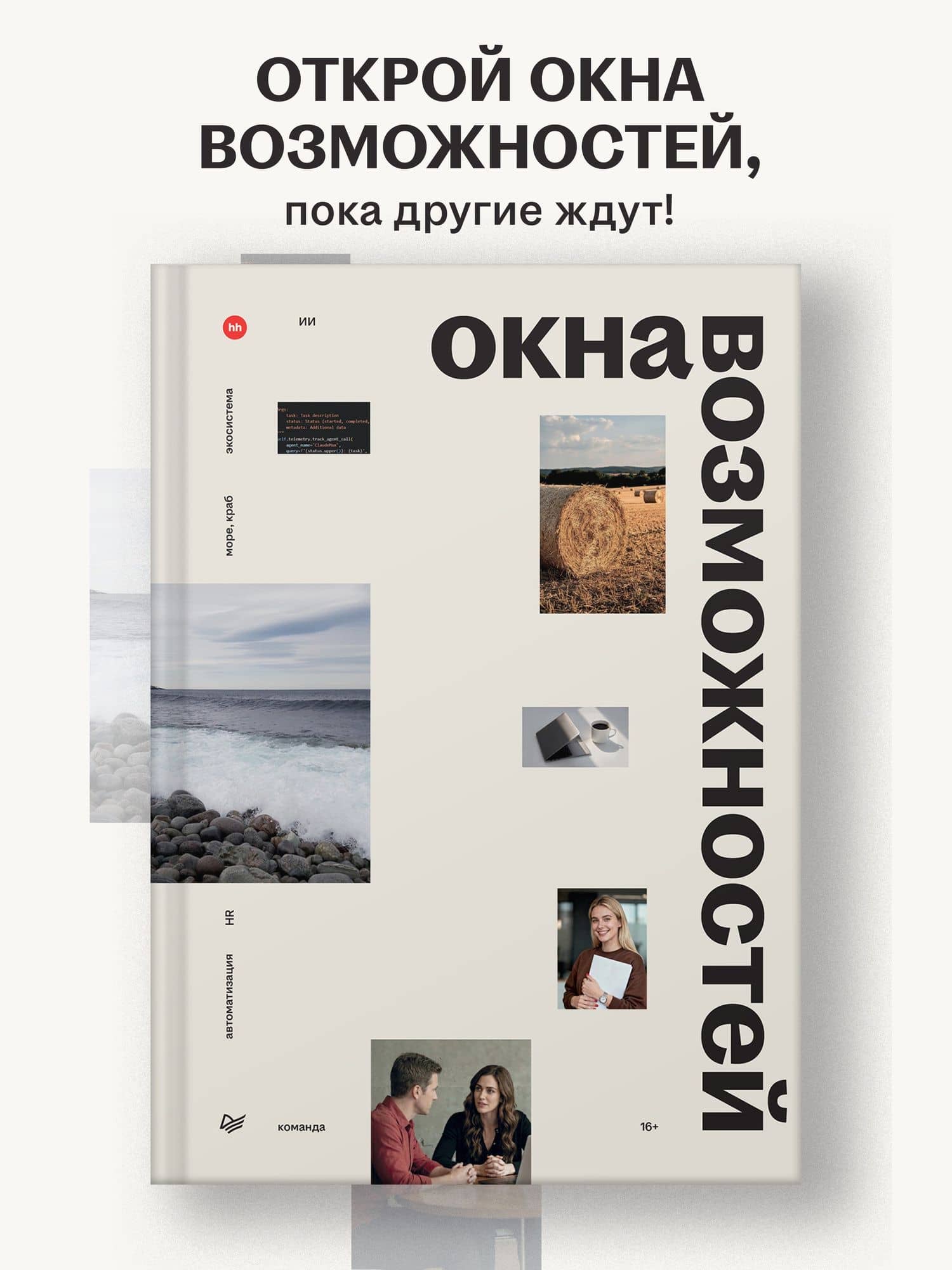 Окна возможностей — Нина Анатольевна Осовицкая (2)