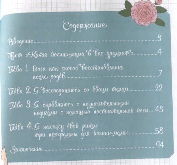 Мой маленький блокнот. Йога после родов — Эмили Яна (2)