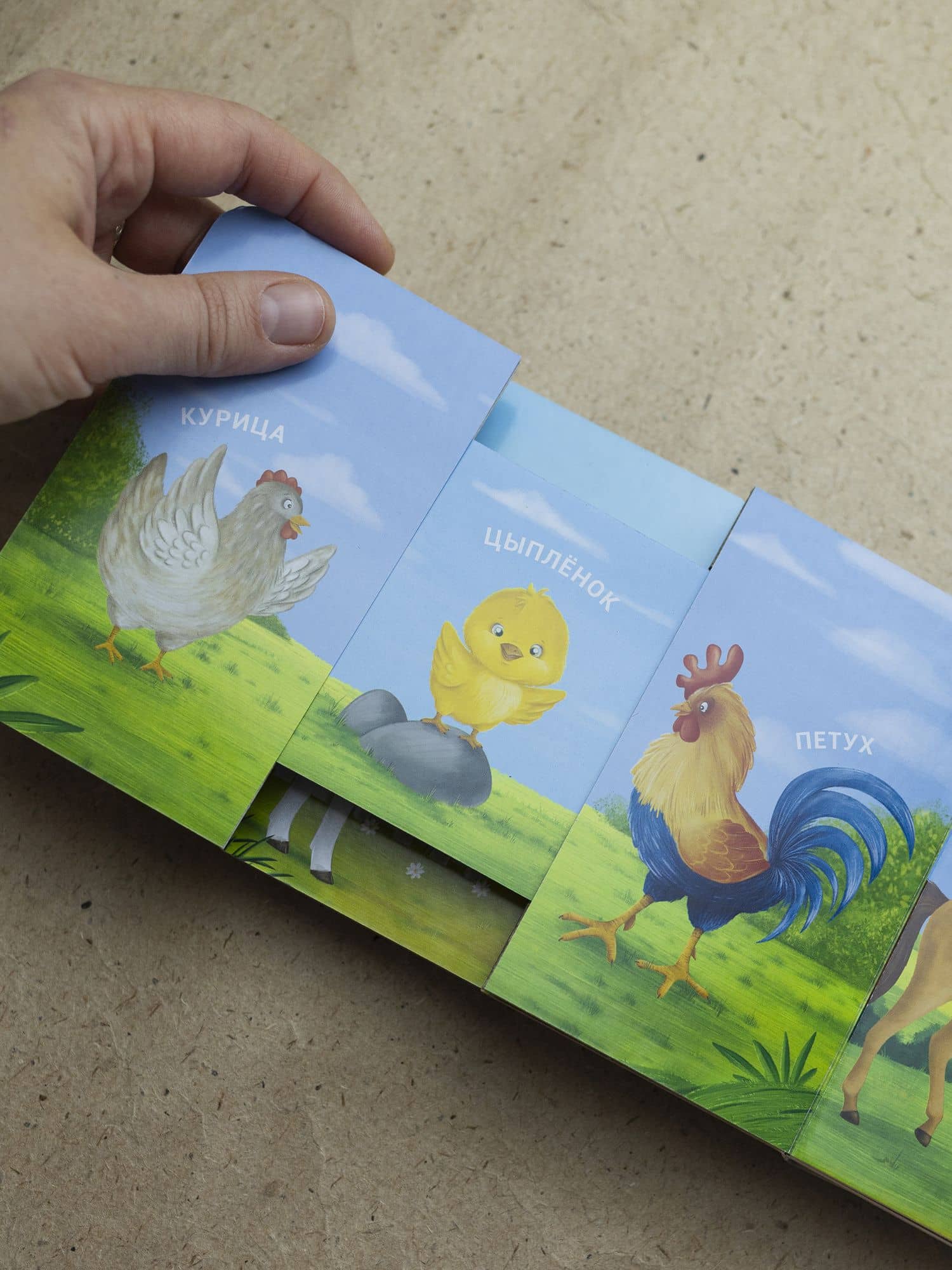 Книжки - задвижки. Мама, папа и малыш. Домашние животные (3)
