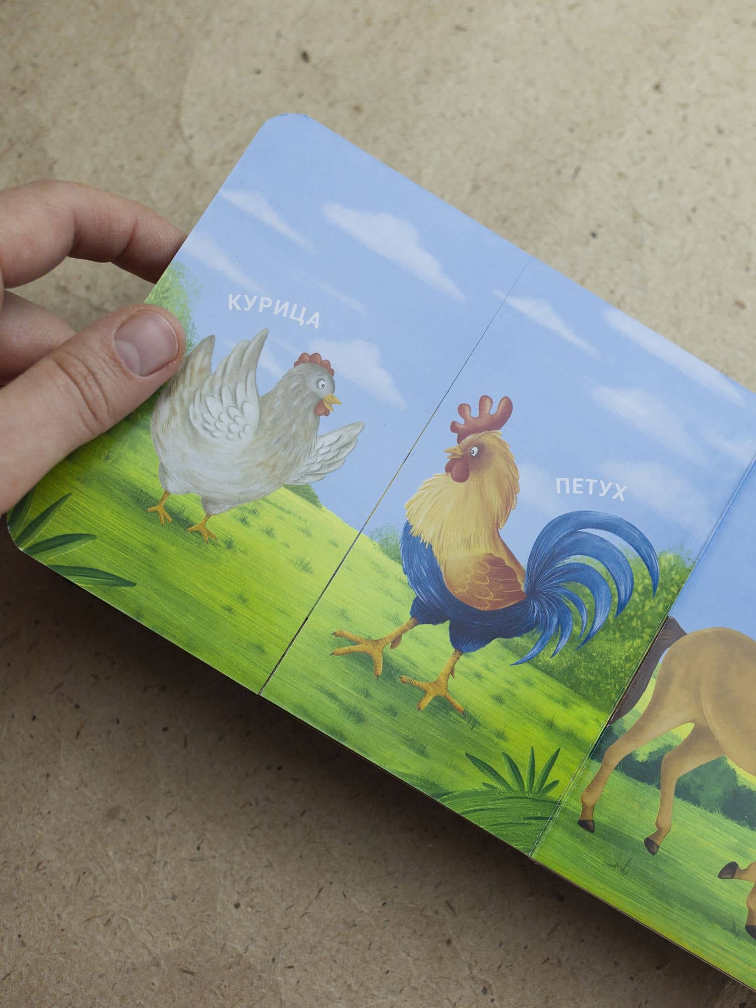 Книжки - задвижки. Мама, папа и малыш. Домашние животные (2)