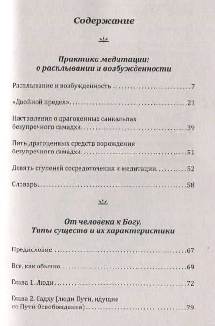 Типы существ и их характеристики. Практика медитации — Вишнудевананда Гири Свами (2)