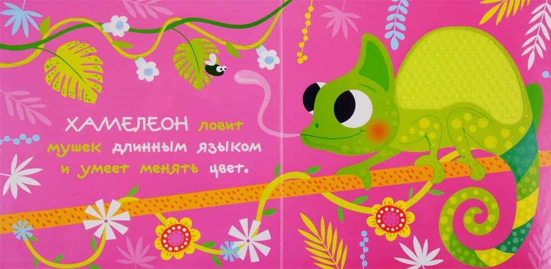 В джунглях (2)