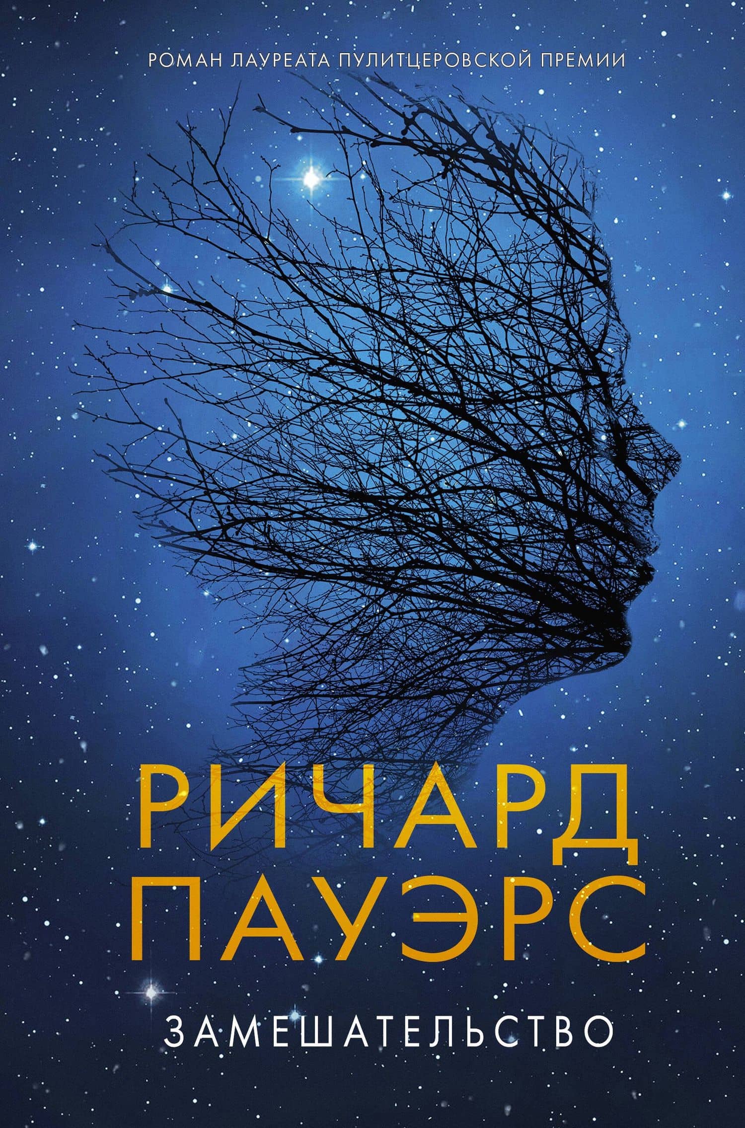 Замешательство — Ричард Пауэрс