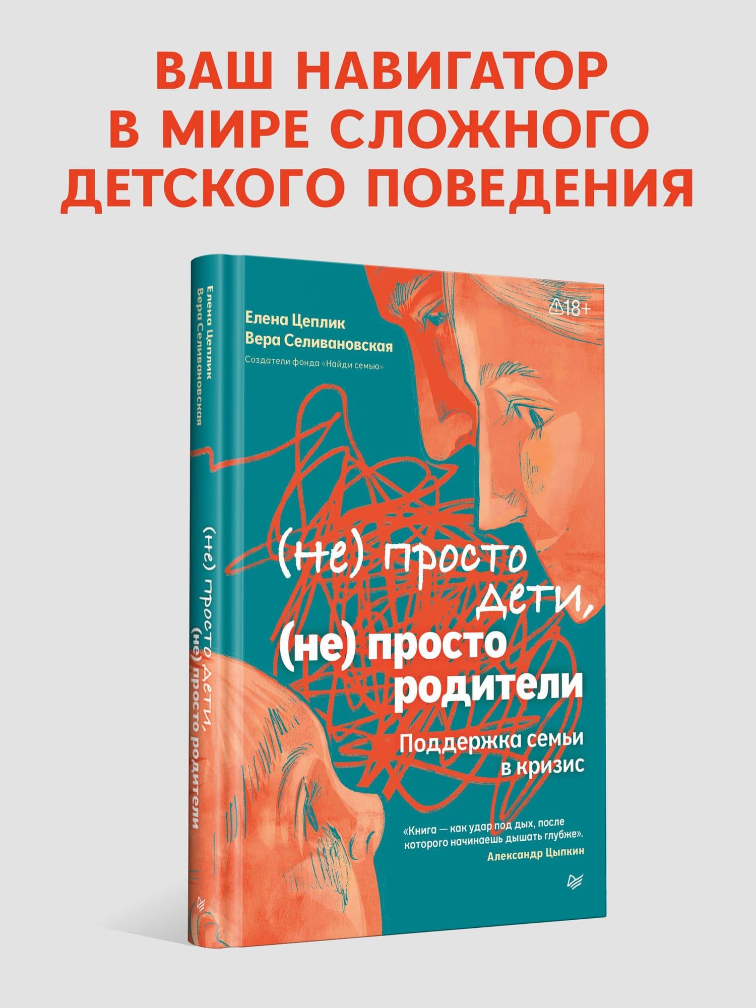 Не просто дети, не просто родители. Поддержка семьи в кризис — Вера Селивановская (2)