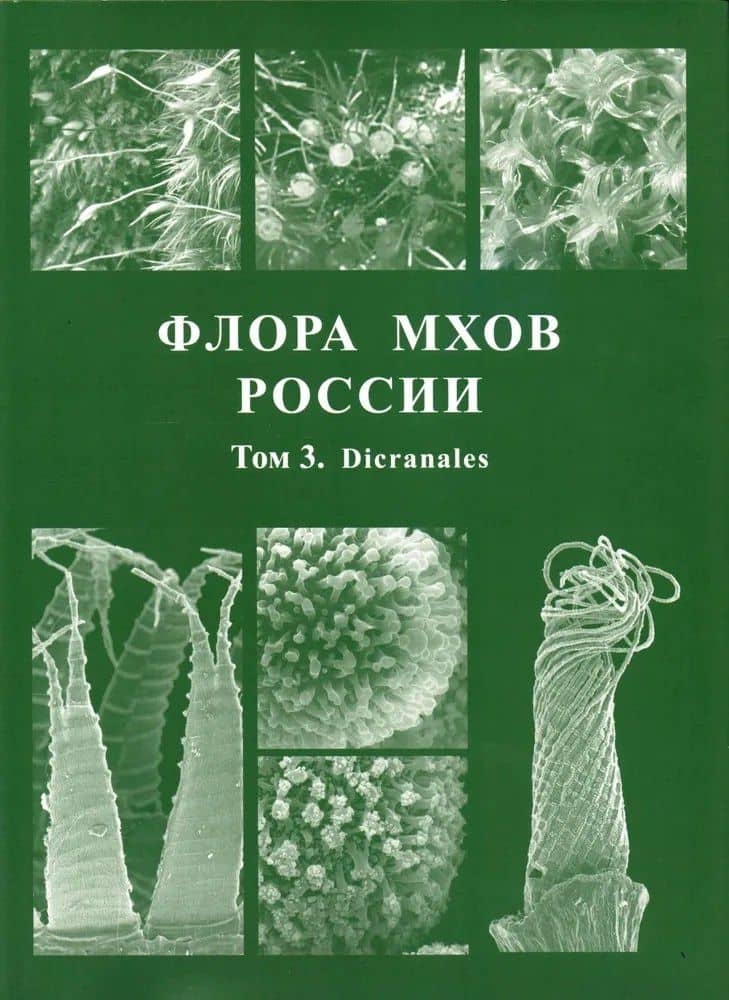 Флора мхов России. Том 3 — Михаил Станиславович Игнатов