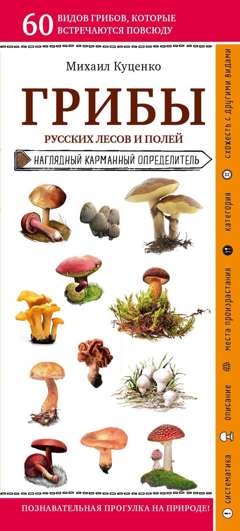 Грибы русских лесов и полей. Наглядный карманный определитель