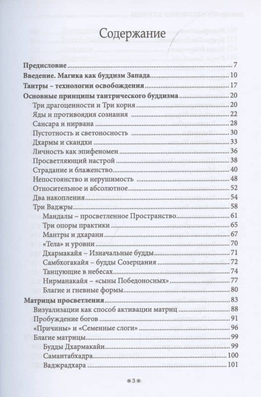 Просветленные Матрицы. Тантрический Буддизм глазами западного мага — Энмеркар (2)
