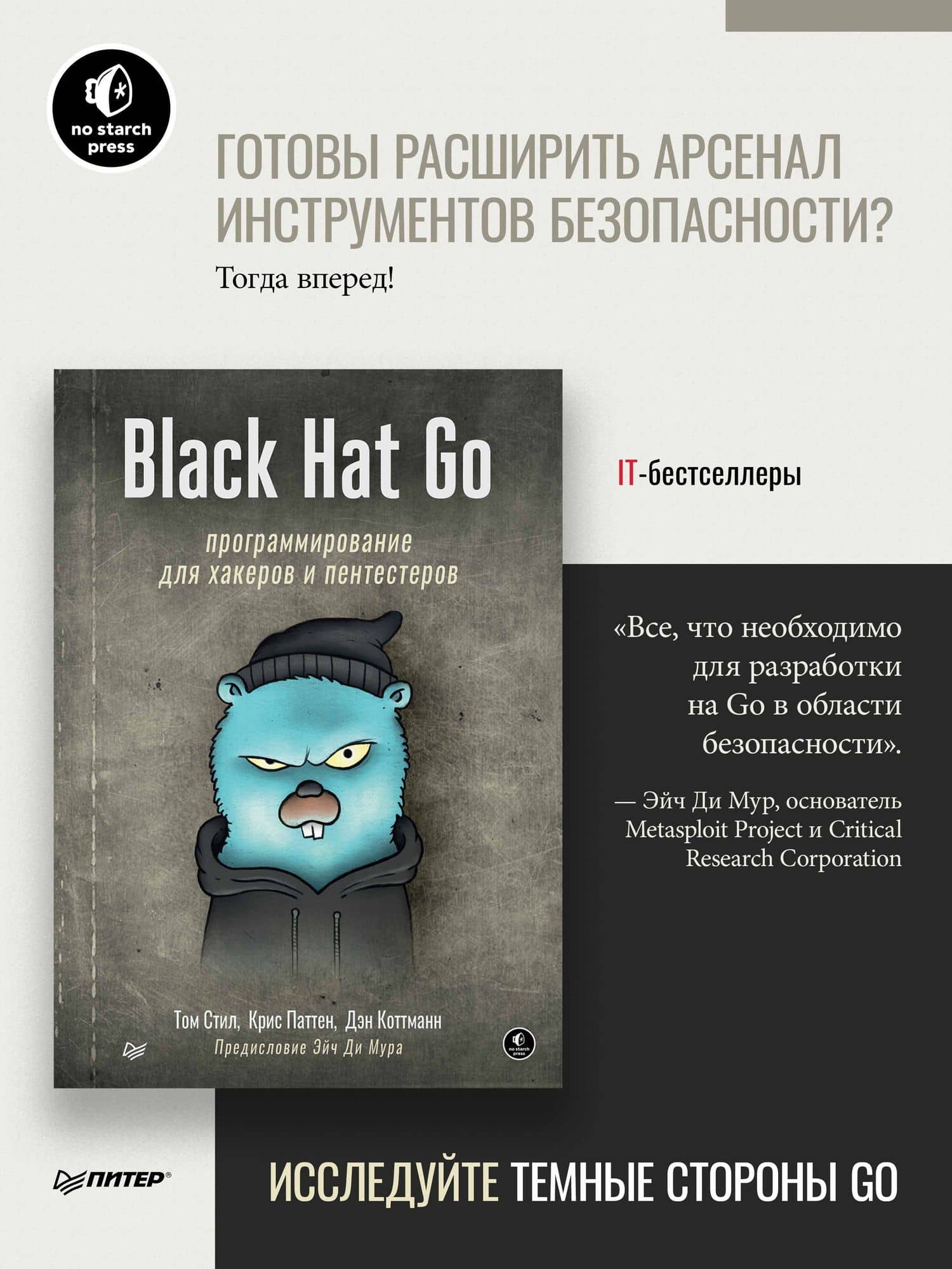 Black Hat Go: Программирование для хакеров и пентестеров — Дэн Коттманн (2)