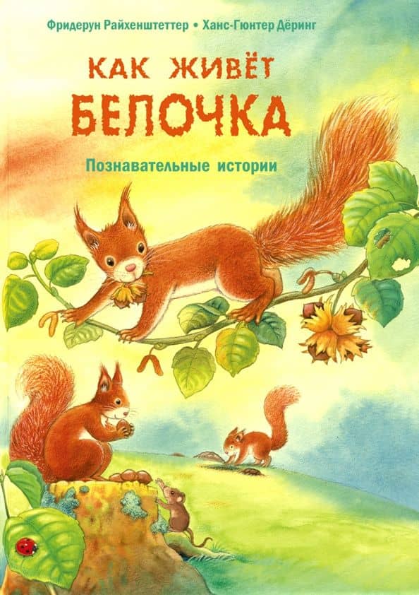 Как живёт белочка. Познавательные истории — Фридерун Райхенштеттер