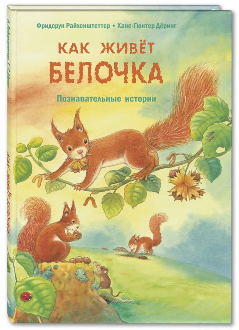 Как живёт белочка. Познавательные истории — Фридерун Райхенштеттер (2)
