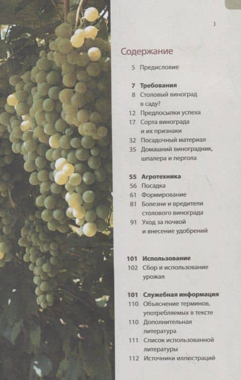 Садовый виноград. Иллюстрированное руководство — Гортензия Ульрих (2)