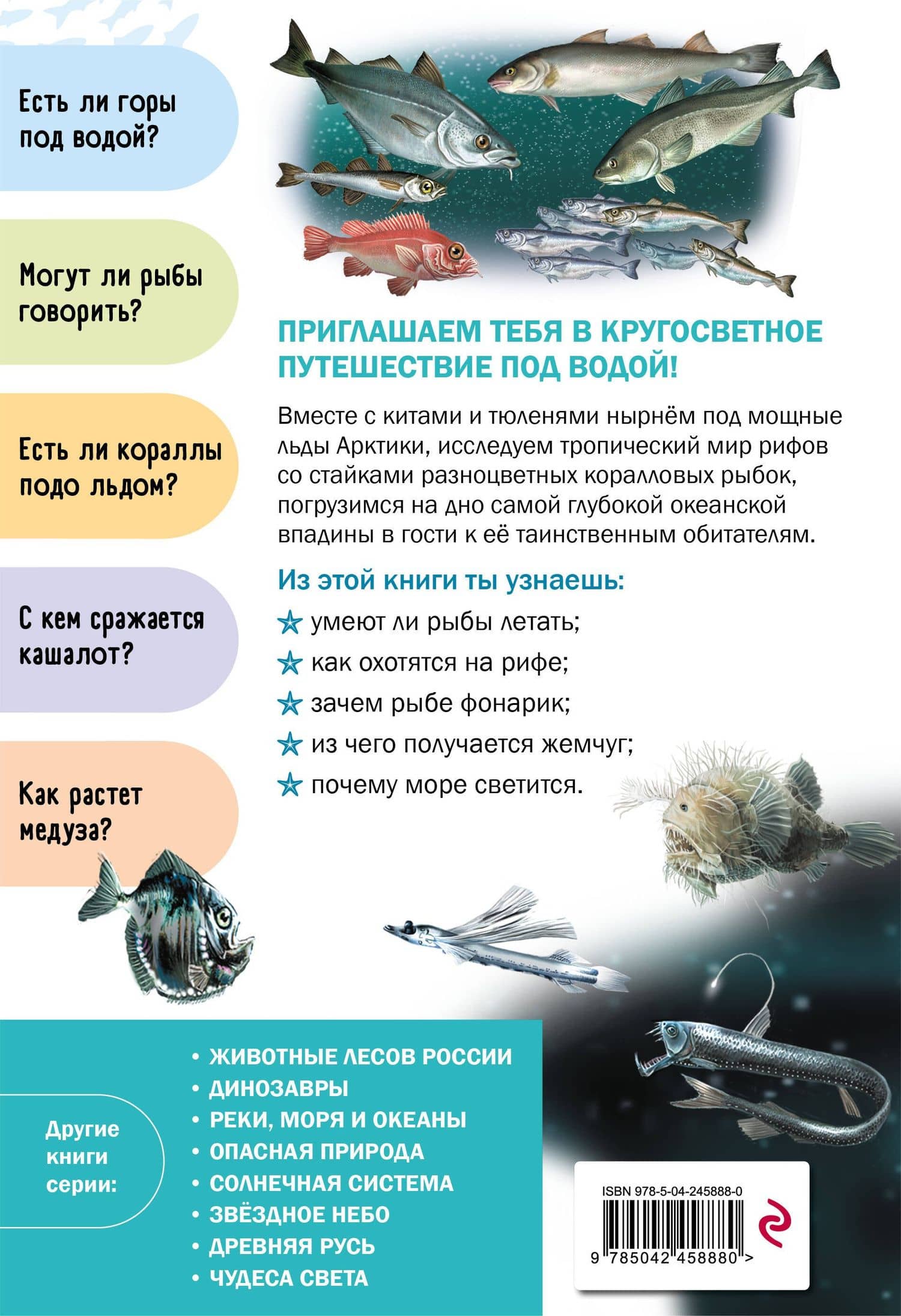 Подводный мир (2)