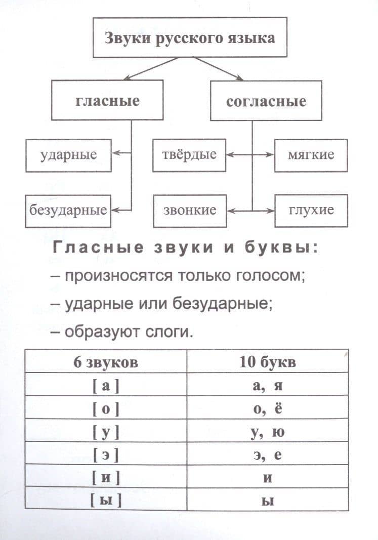 Русский язык: полный курс начальной школы (3)