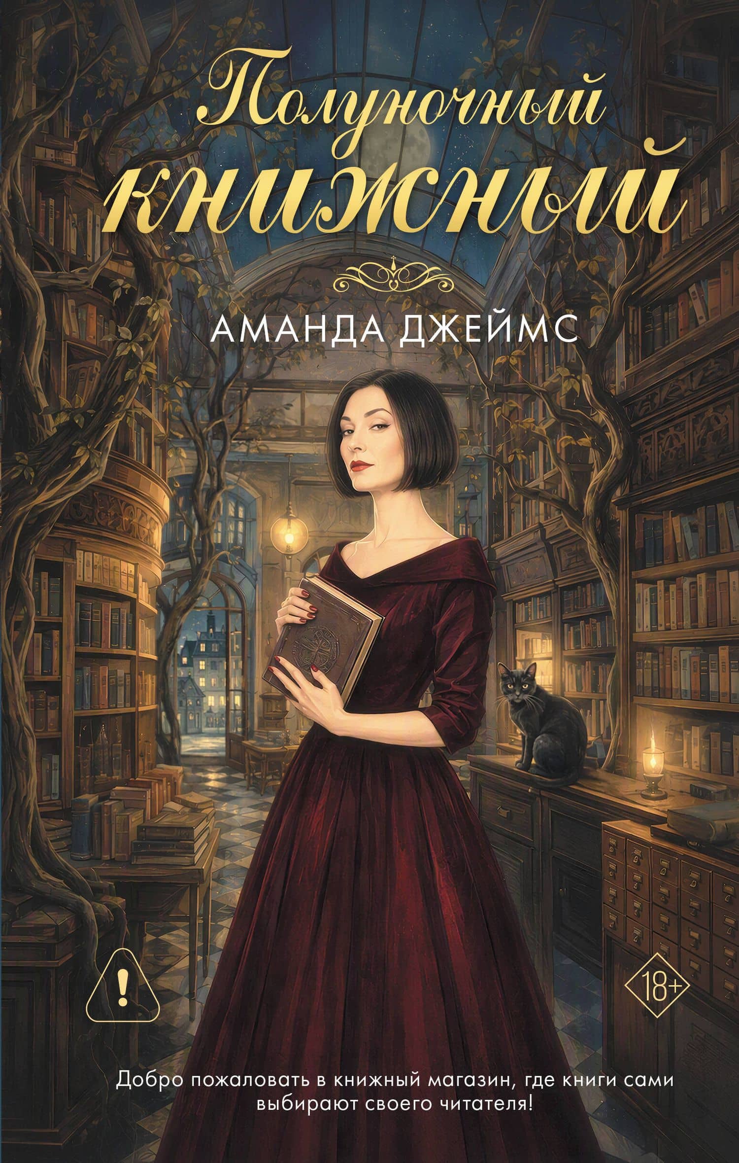 Полуночный книжный — Аманда Джеймс